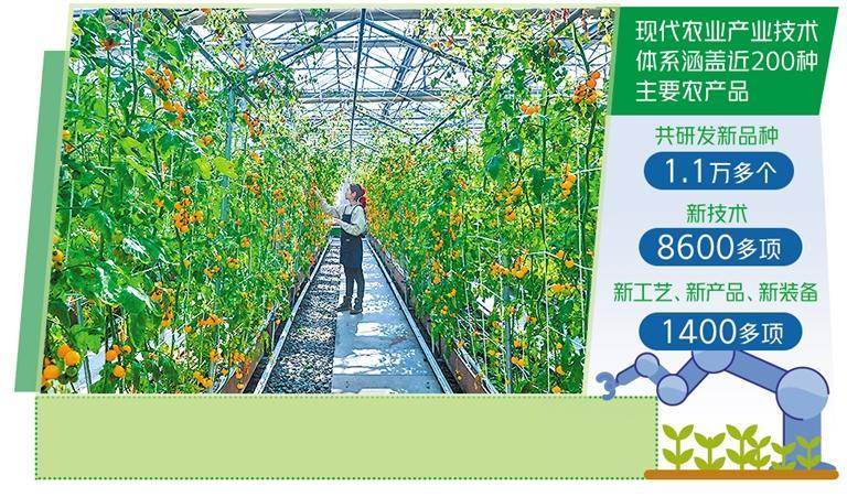 现代农业技术引领种植革命