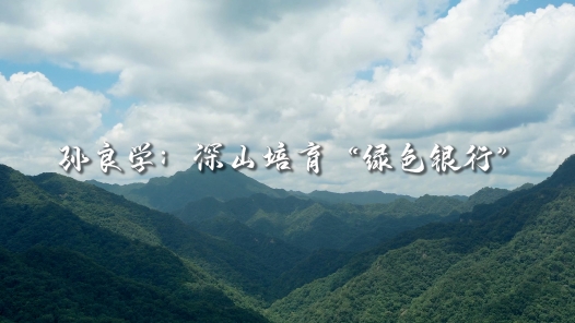 身边榜样丨孙良学：扎根深山培育“绿色银行”