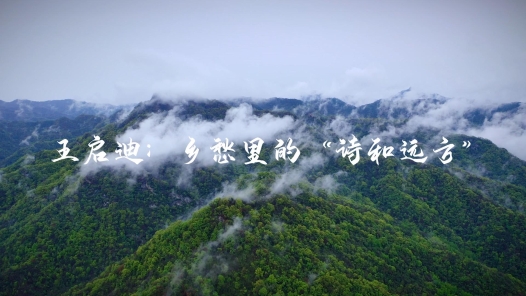 身边榜样 | 王启迪：把乡愁变成“诗和远方”