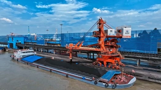 身边榜样 | 守护者联盟