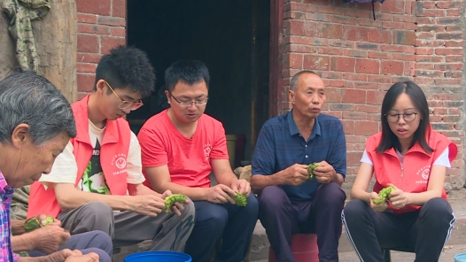 身边榜样丨正青春+奋斗在乡村——渭沱镇化龙村驻村工作队微纪实