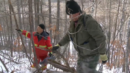 身边榜样丨密林深处的“守护”