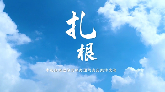 身边榜样丨扎根