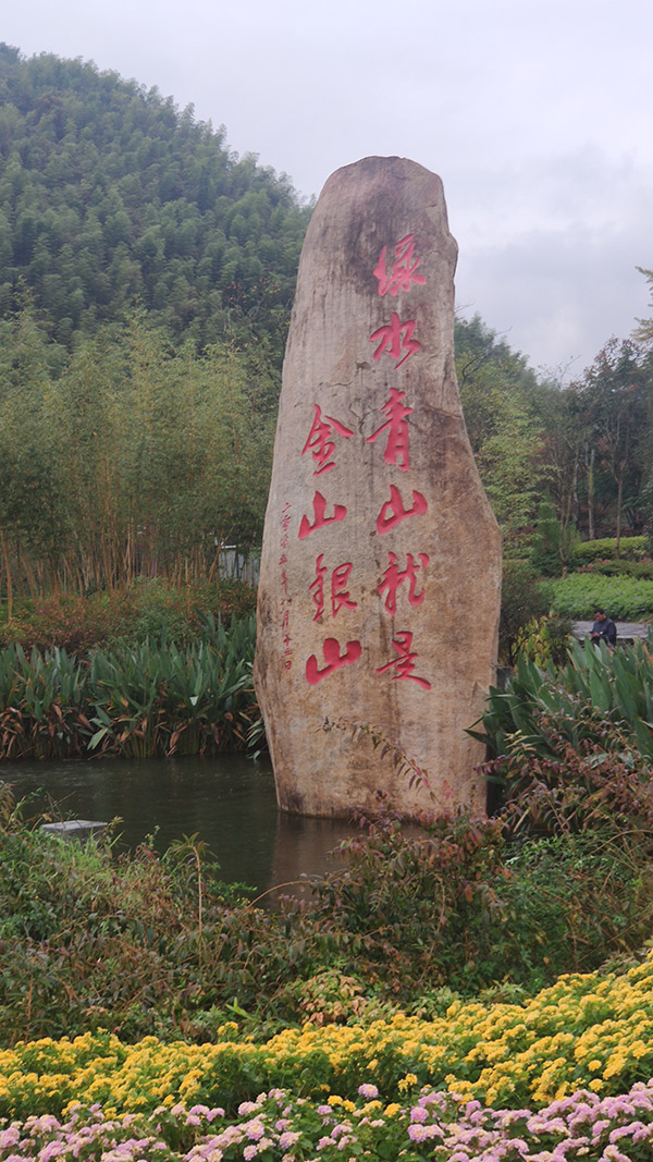 寰球互联网大会首批全球后生领军者赴浙开展调研 寰球互联网大会首批全球后生领军者赴浙开展调研