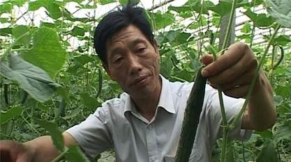 劳模风采·2010年全国劳动模范 | 梅根青：做大蔬菜产业 带着乡亲挣钱