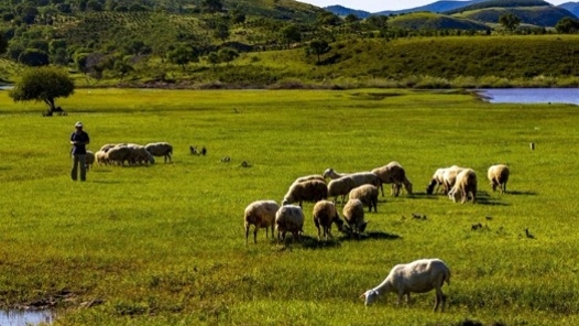 《木兰塞罕》《魅力承德》
