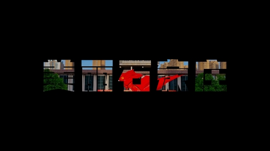 《美丽石家庄》