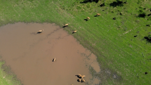 《锦绣木兰围场》