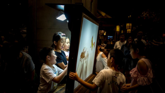 《皮影的魅力》