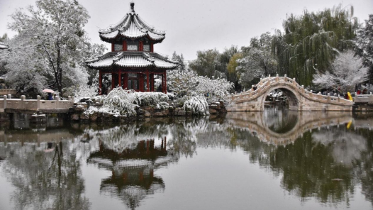 《古莲花池 冬雪》