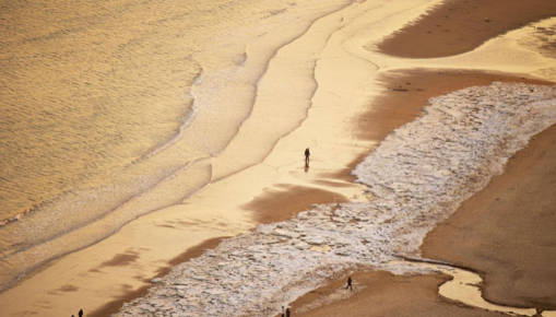 《身边那片鎏金海》