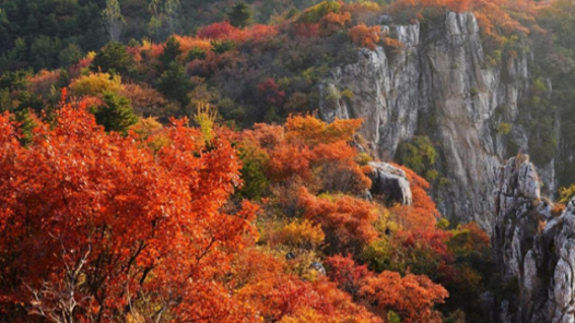 《黄柏坨秋色》