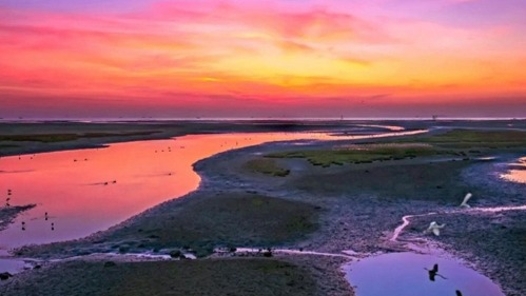 《浪漫的海岸线》