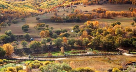 《阳光·森林·山峦》