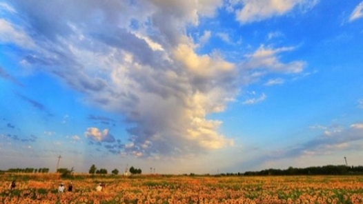 《衡水湖之歌》