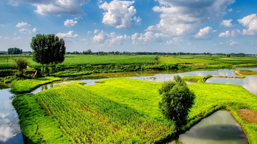 《家乡有条美丽的河》