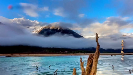 《点亮卓越之光》