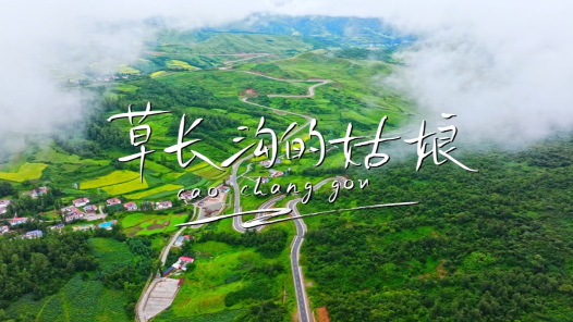 《草长沟的姑娘》