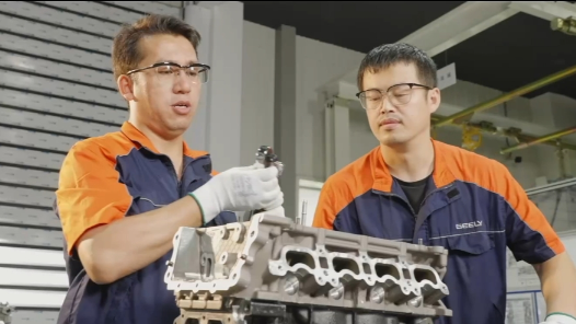 《为了一个美丽的追求》