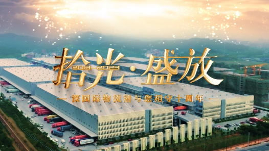 《拾光·盛放》