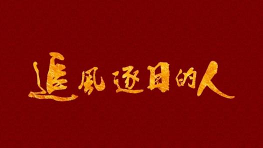 《追风逐日的人》