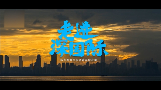 《走进深国际》