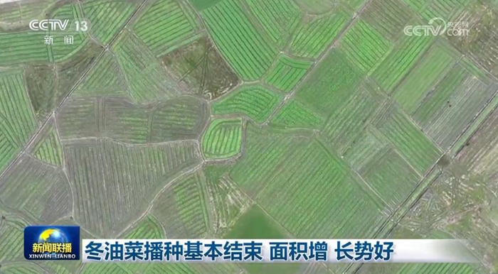 QQ截图20231202104125