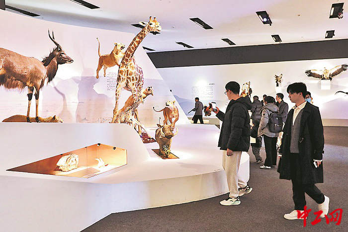 2314550_tpzz_1701411707338_b