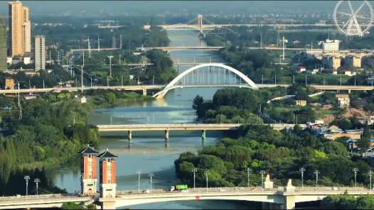 《新时代 我在中国 俄罗斯小姐姐的探“桥”之旅 》