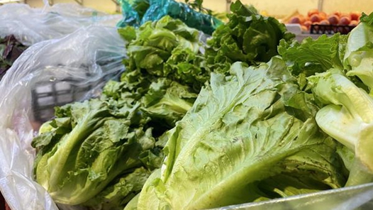 西藏琼结县培育壮大“菜篮子”产业