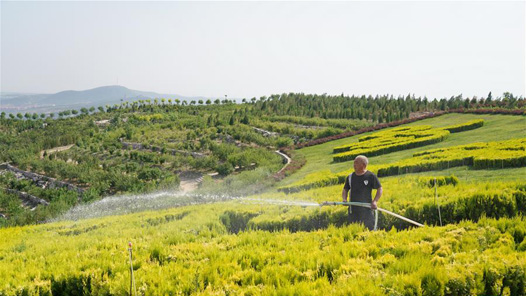 锦绣中国年｜西藏：生态旅游庆新春