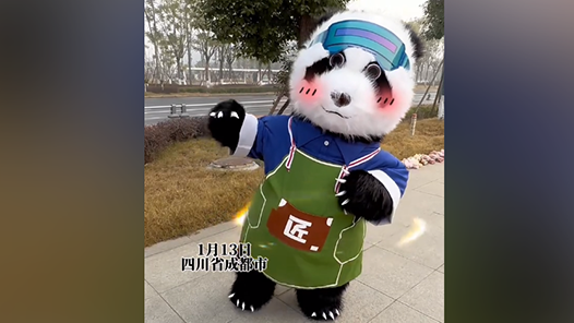 谁能拒绝这么可爱的工宝！