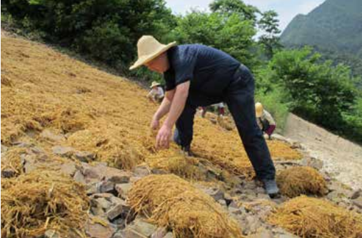 QQ截图20240121150327