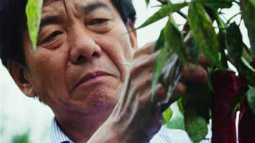 ce60b6765c3f1f69c3b21f3d042b1bc