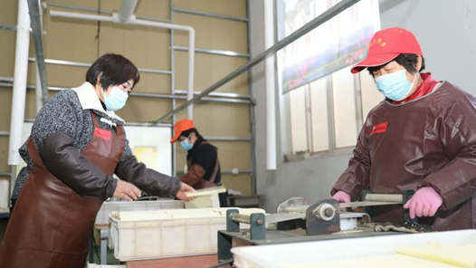 新春走基层丨促增收的新路子