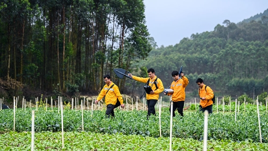 铁路线边的“捕风者”