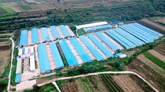 新春走基层丨25本民情日记里的“新春盼”