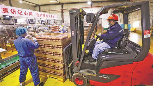 新春走基层丨现代农业企业积极保障春节市场供应