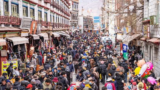 逛大集 购年货 热闹迎新年