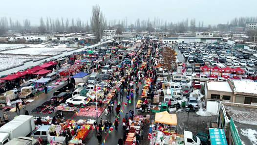 新春走基层丨宁夏：乡村“网红”大集年味浓