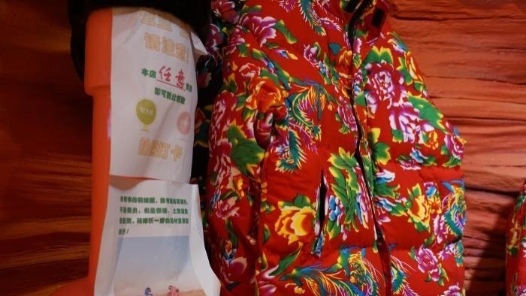 新春走基层丨“土味”拜年渐热 中国“网生代”演绎“土到极致就是潮”