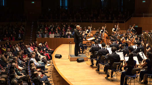 锦绣中国年丨“中国春节民族音乐会”在德国举行