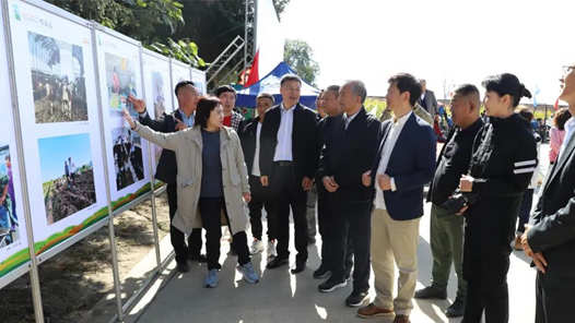 锦绣中国年丨相机成为乡村全面振兴“新助手”