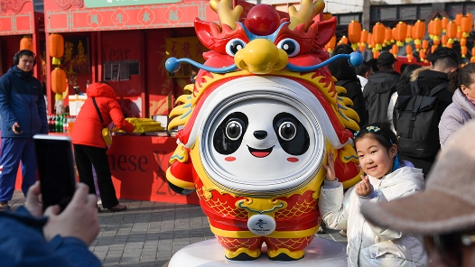 锦绣中国年｜多彩活动过大年