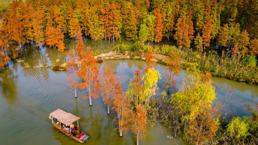 安徽：跨省旅游客如潮