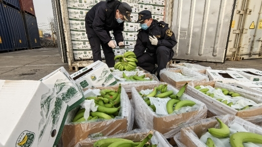 海关助力“洋年货”新鲜抵运