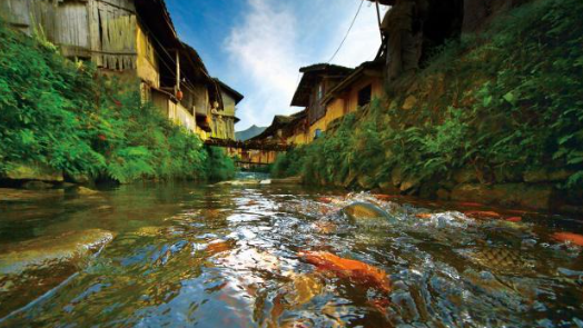 新春走基层｜避暑旅游目的地：宁德市周宁县凭什么？