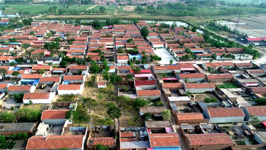 新春走基层丨车间开出“致富花”