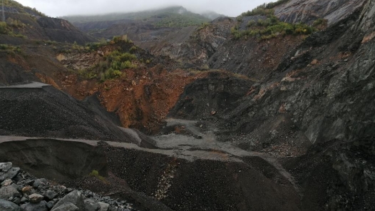 马华东委员：以高效能履职赋能高质量发展