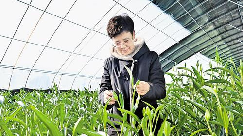 全国人大代表孙喜玲的好想法变成好办法 大石砬村有了专家工作站